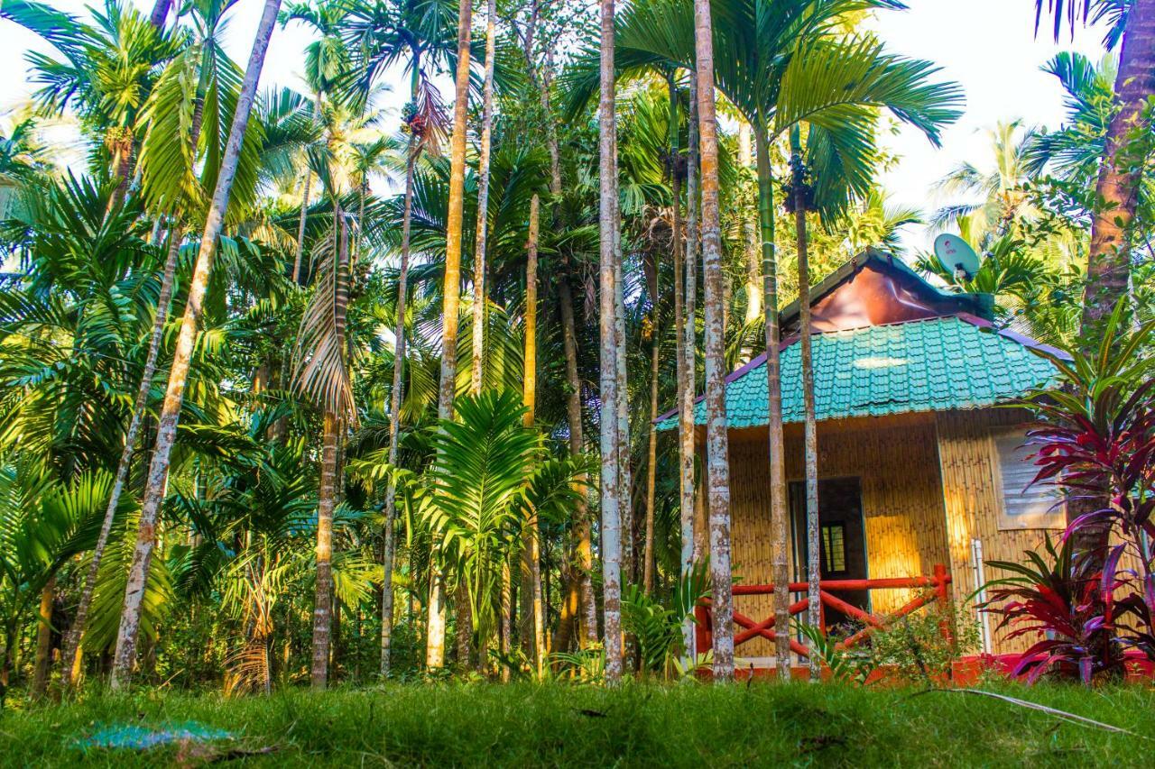 Maitreya Beach Resort Diveagar Ngoại thất bức ảnh